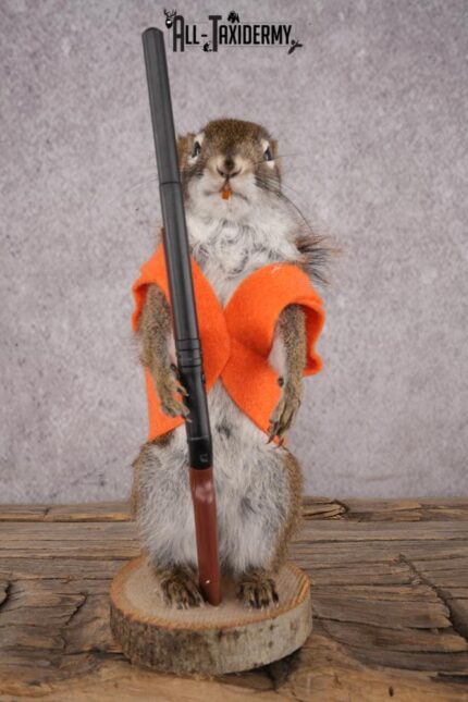 Hunting Red Squirrel SKU 3132