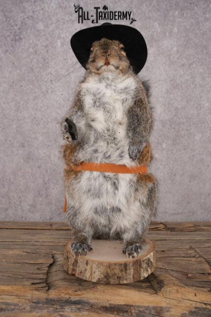 Cowboy Squirrel SKU 3071