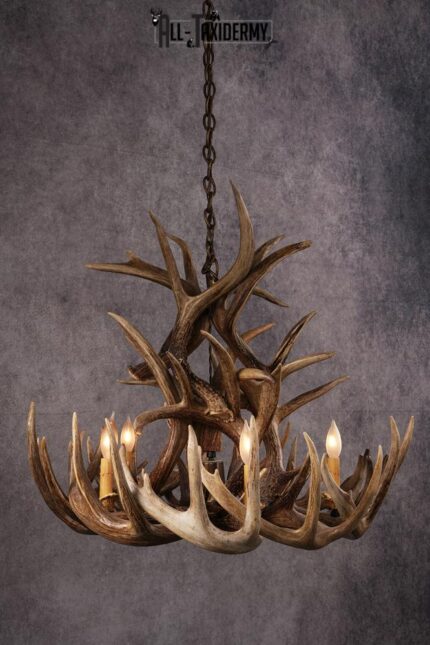 Whitetail Deer Antler Chandlier SKU 2492