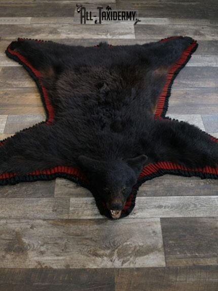 Black bear rug taxidermy mount SKU 2330