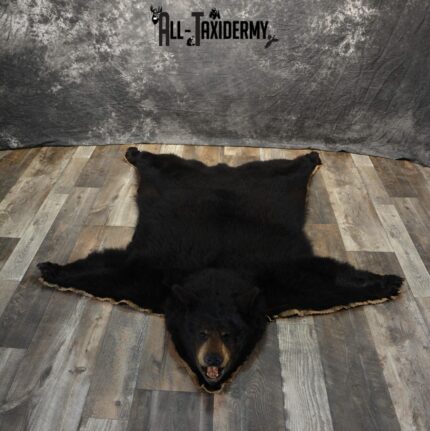 Black Bear Taxidermy Rug For Sale SKU 1070