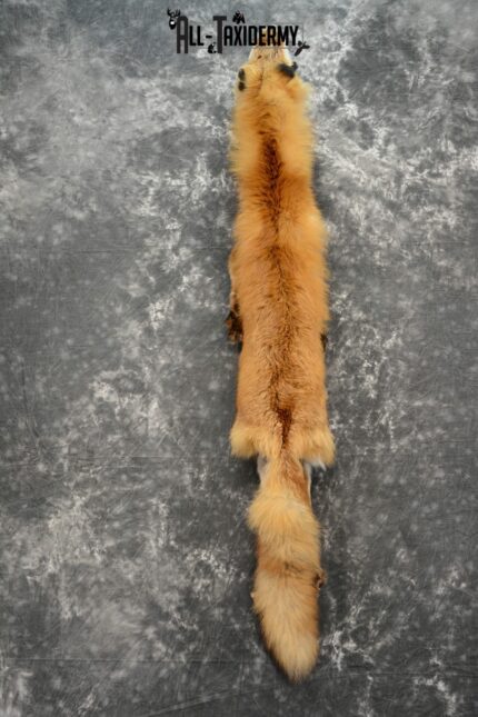 Red Fox Hide Pelt taxidermy for sale SKU 1120