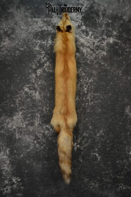 Red Fox Hide Pelt taxidermy for sale SKU 1094